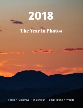 2018: The Year in Photos book cover