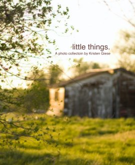 little things. book cover