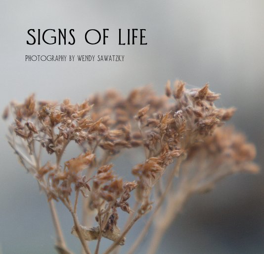 Ver Signs of Life por Wendy Sawatzky