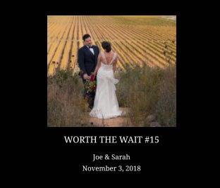 Worth the Wait #15 book cover