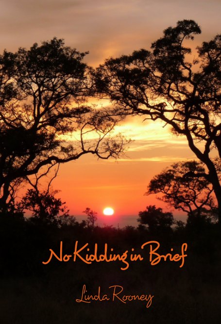 View No Kidding In Brief by Linda Rooney