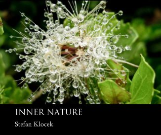 INNER NATURE book cover