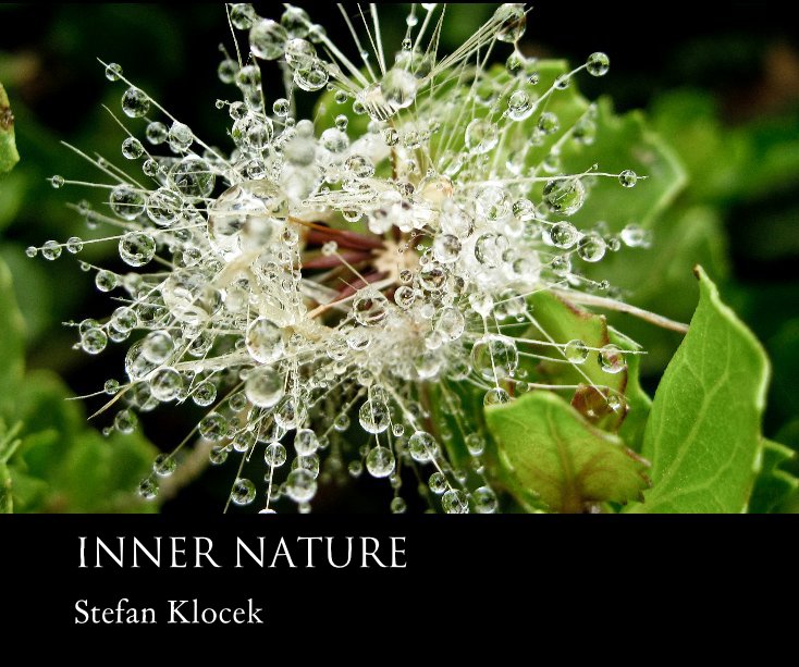 View INNER NATURE by Stefan Klocek