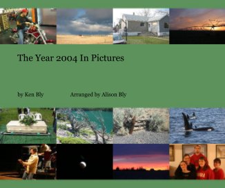 The Year 2004 In Pictures book cover