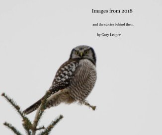 Images from 2018 book cover