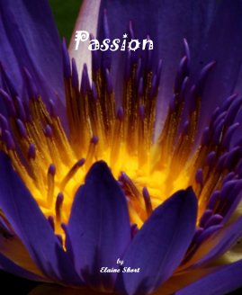 Passion book cover