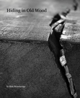 Hiding in Old Wood book cover