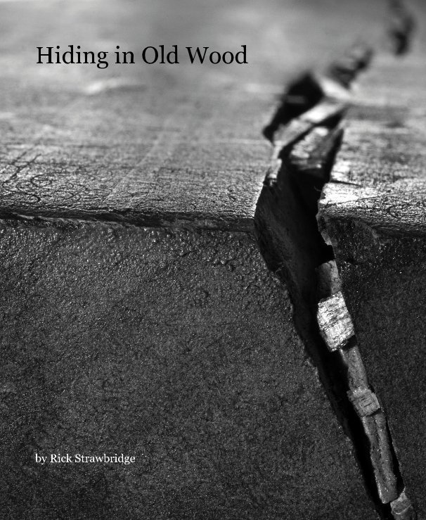 Ver Hiding in Old Wood por Rick Strawbridge