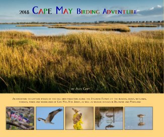 2018 Cape May Birding Adventure book cover