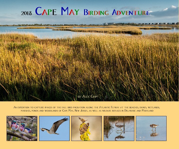 View 2018 Cape May Birding Adventure by Alex Grim