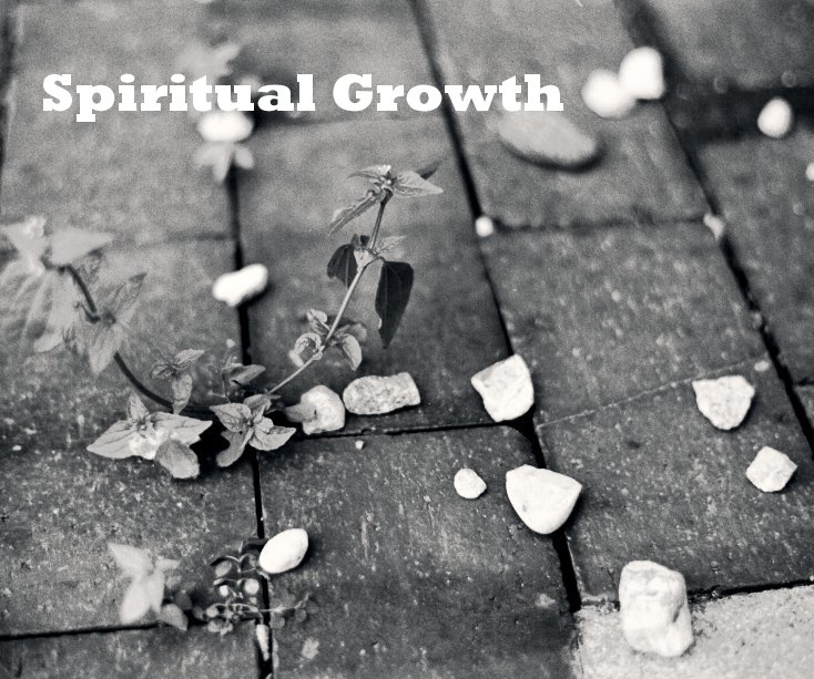 View Spiritual Growth by Jiyun Cho