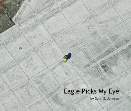 Eagle Picks My Eye book cover