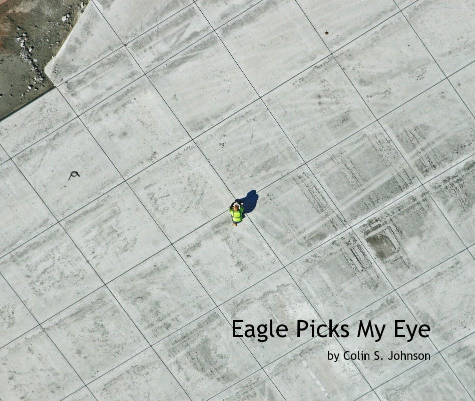 View Eagle Picks My Eye by Colin S. Johnson