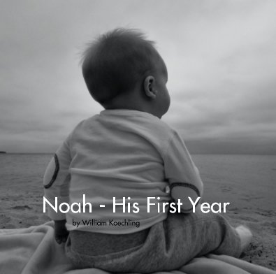 Noah - His First Year by William Koechling book cover