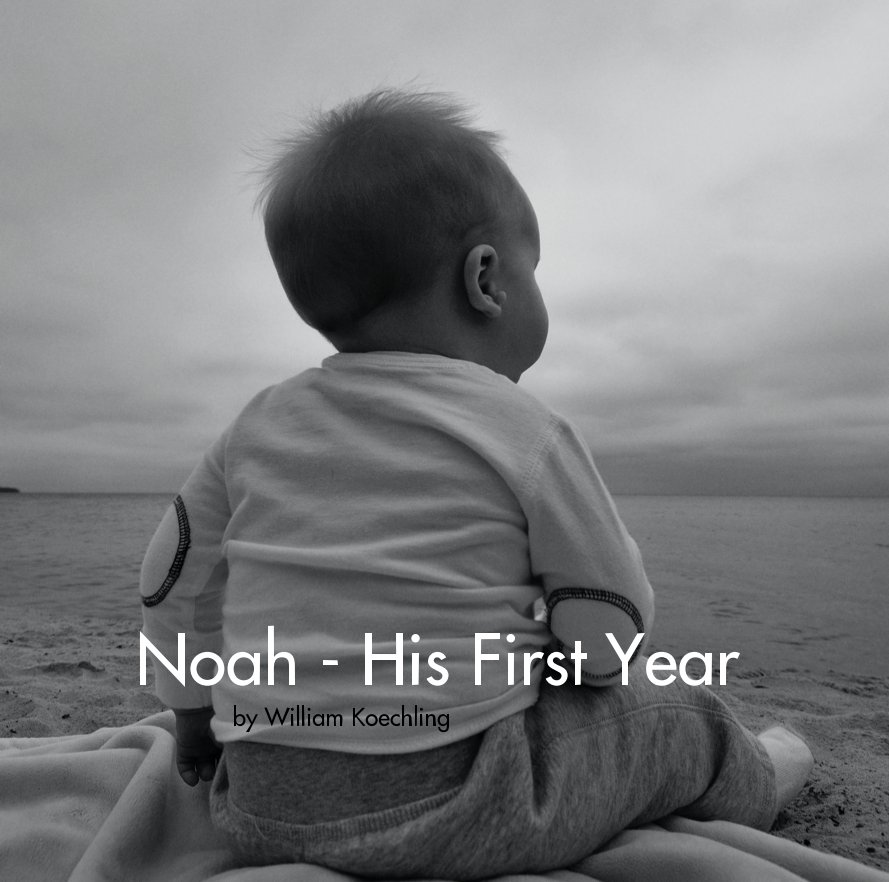 View Noah - His First Year by William Koechling by William Koechling