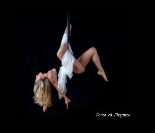 Pole Dancer book cover
