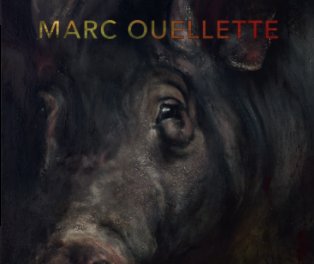 The Art Of Marc Ouellette book cover