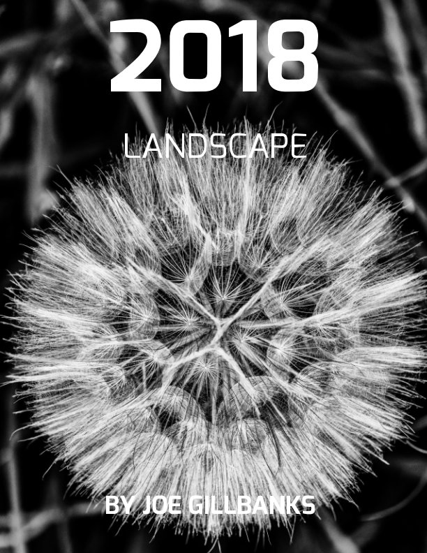 View Landscapes 2018 by Joe Gillbanks