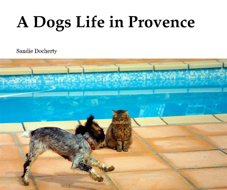 View A Dogs Life in Provence by Sandie Docherty