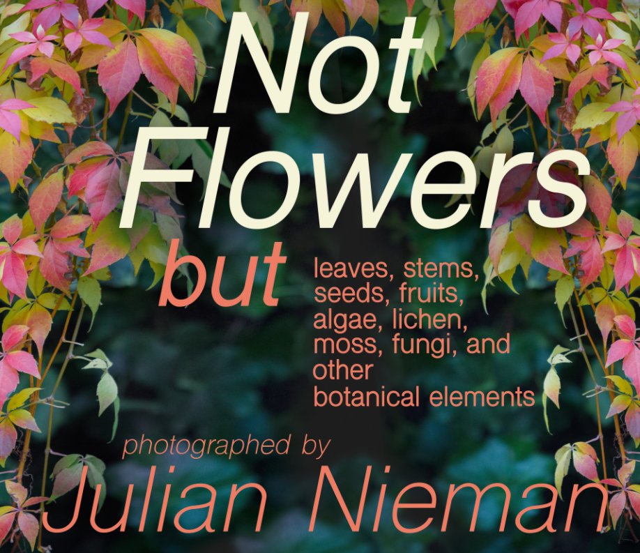 View Not Flowers by Julian Nieman