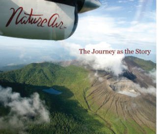 The Journey as the Story #2 book cover