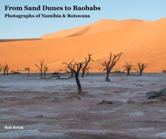 From Sand Dunes to Baobabs book cover