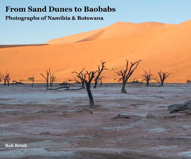 View From Sand Dunes to Baobabs by Bob Brink