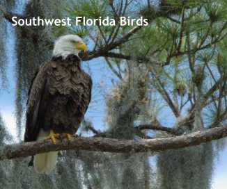 Southwest Florida Birds book cover