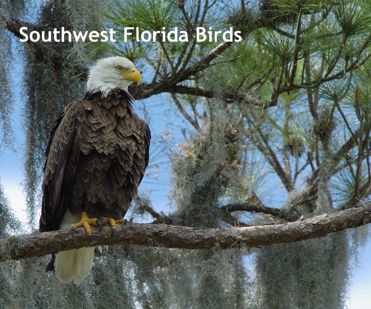 View Southwest Florida Birds by Gavin Spooner
