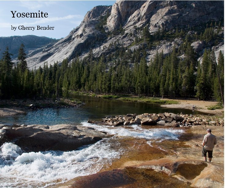 View Yosemite by Gherry Bender