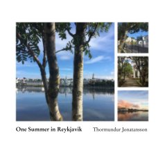 One Summer in Reykjavik book cover