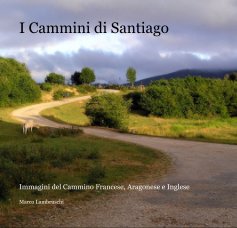 I Cammini di Santiago book cover