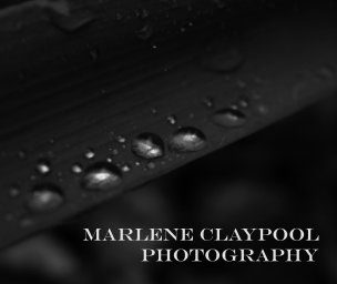Marlene Claypool Photography book cover