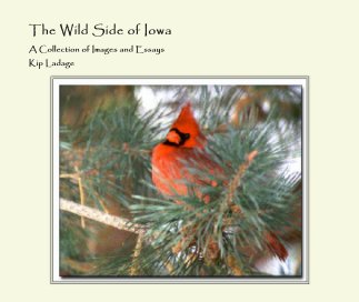 The Wild Side of Iowa - Images and Essays book cover