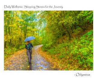 Daily Wellness: Stepping Stones for the Journey book cover
