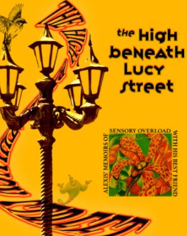 The High Beneath Lucy Street book cover