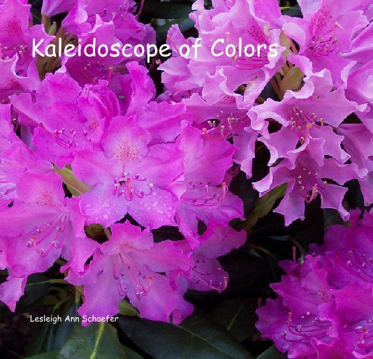 View Kaleidoscope of Colors by Lesleigh Ann Schaefer