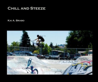 Chill and Steeze book cover