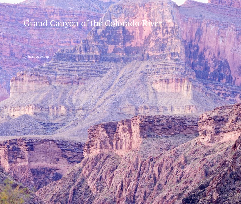 View Grand Canyon of the Colorado River by Sarah A. Jessup