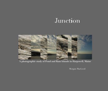 Junction book cover