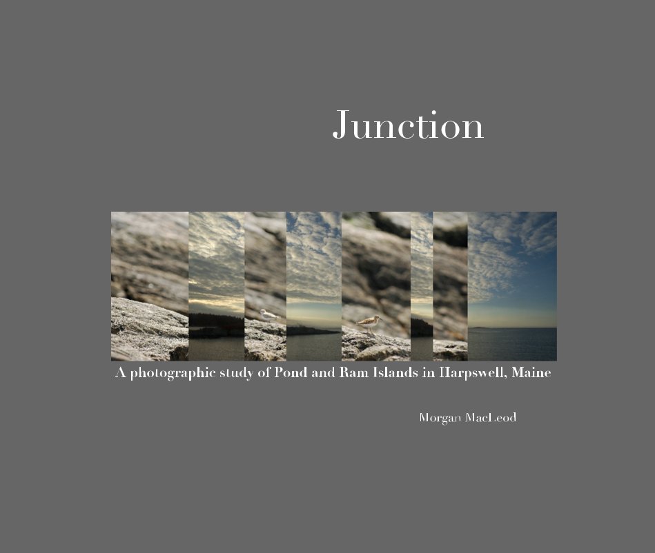 Ver Junction por Morgan MacLeod