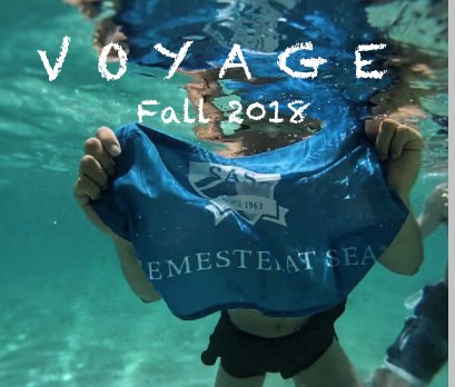 VOYAGE: Fall 2018 book cover