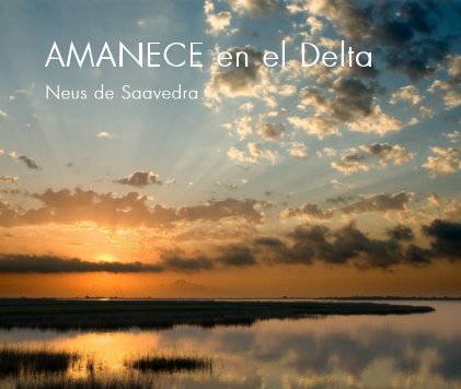 AMANECE en el Delta book cover