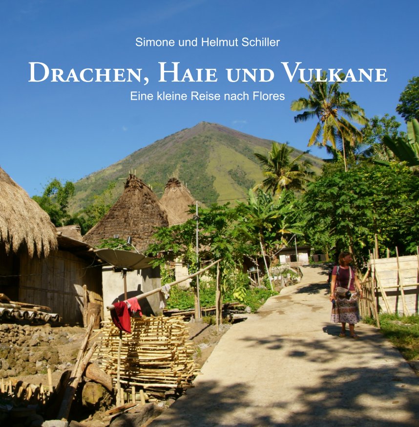 Visualizza Drachen, Haie und Vulkane di Simone und Helmut Schiller