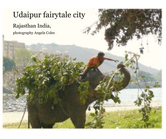 Udaipur fairytale city book cover