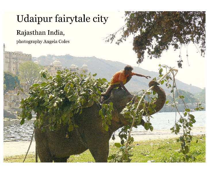 View Udaipur fairytale city by photography Angela Coles