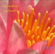 Lumières  naturelles book cover