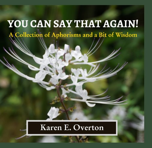 View You Can Say That Again! by Karen E. Overton