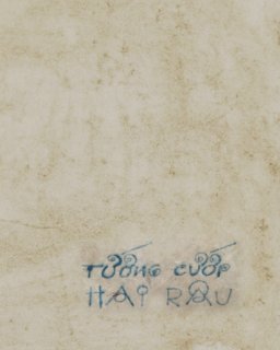 Tuong Cuop Hai Rau book cover