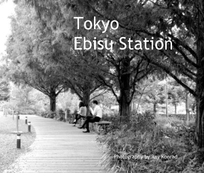 Tokyo Ebisu Station book cover